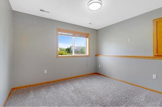 19101 Gunter Way, Big Lake, MN 55309