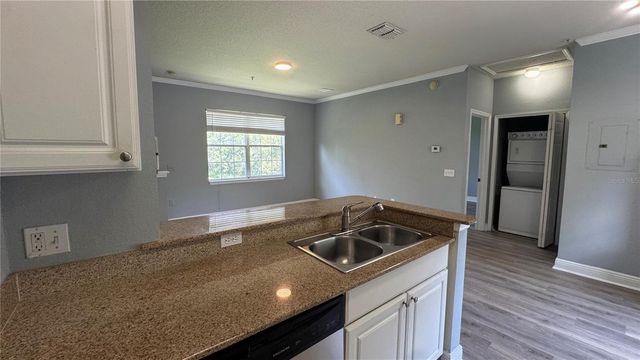 234 SOUTHERN PECAN CIRCLE 202, Winter Garden, FL 34787