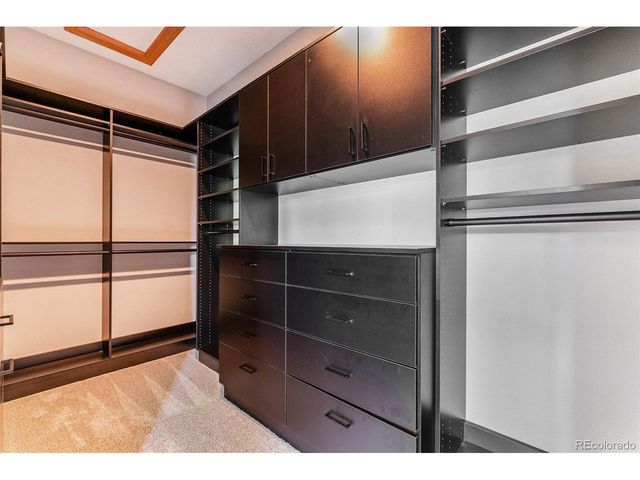 1496 Eagle Ct, Windsor, CO 80550