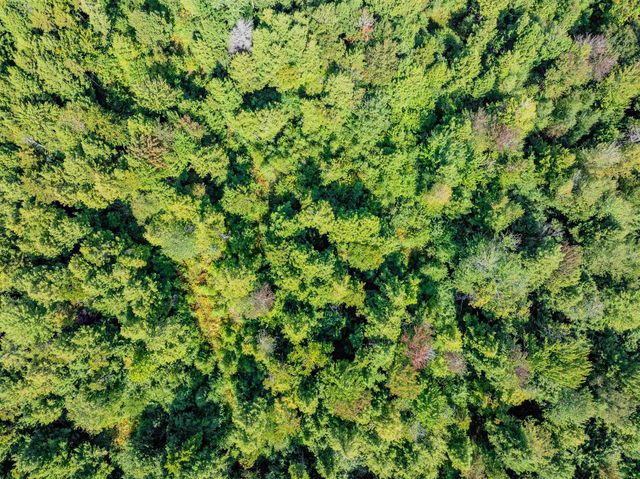 274 Deerfield Hills Road, Morristown, VT 05661