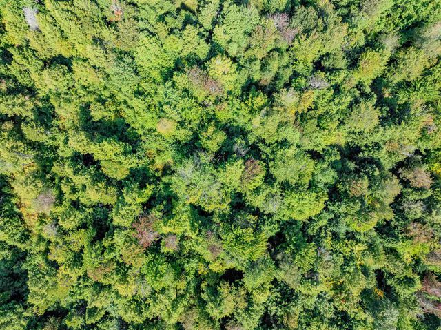 274 Deerfield Hills Road, Morristown, VT 05661