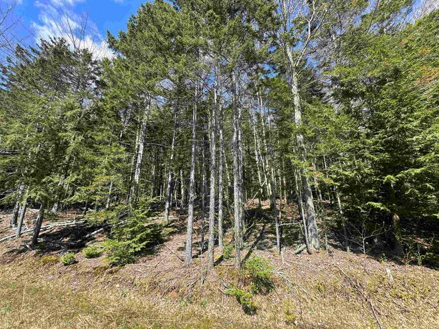 274 Deerfield Hills Road, Morristown, VT 05661