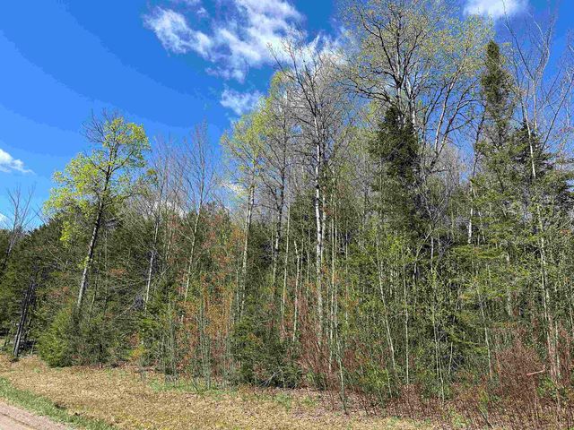 274 Deerfield Hills Road, Morristown, VT 05661