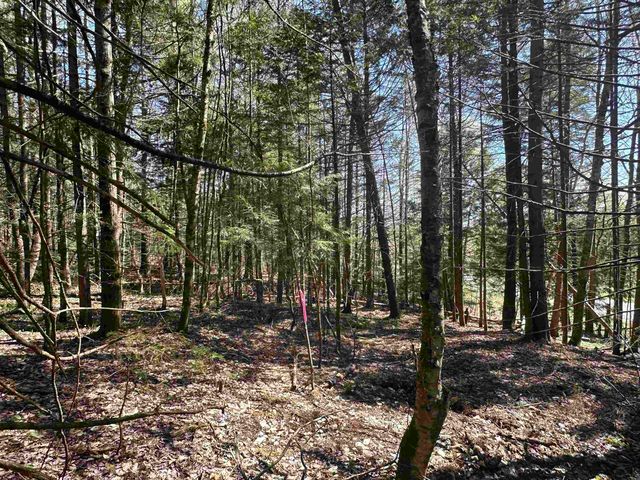 274 Deerfield Hills Road, Morristown, VT 05661