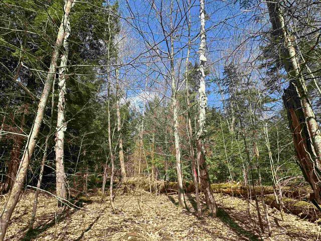274 Deerfield Hills Road, Morristown, VT 05661