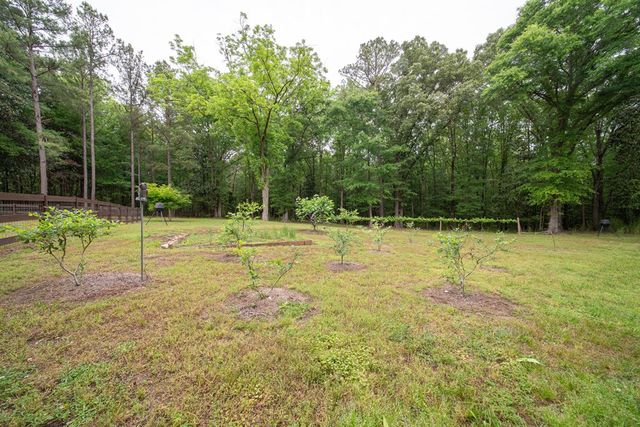4200 E Ga Highway 0085, Manchester, GA 31816