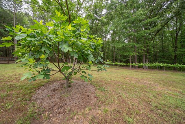 4200 E Ga Highway 0085, Manchester, GA 31816
