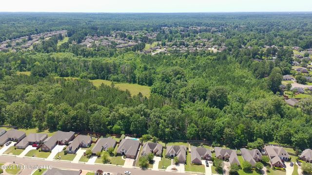 209 Oakville Circle, Brandon, MS 39047