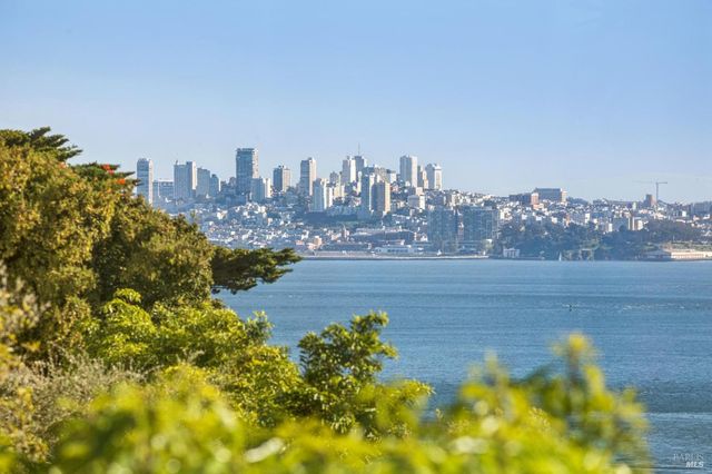 335 Golden Gate Ave, Belvedere, CA 94920