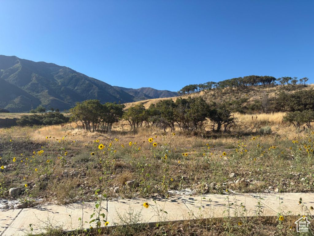 1605 S 920 E 67, Salem, UT 84653