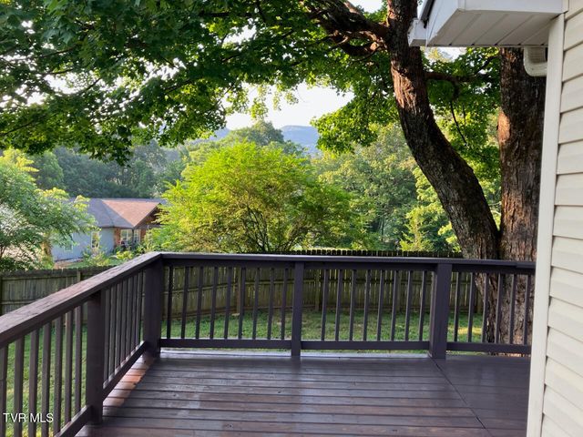 1907 Sinking Creek Road, Johnson City, TN 37604
