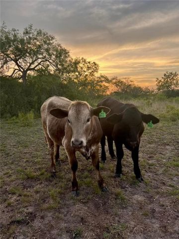 317 County Road 222, Orange Grove, TX 78372