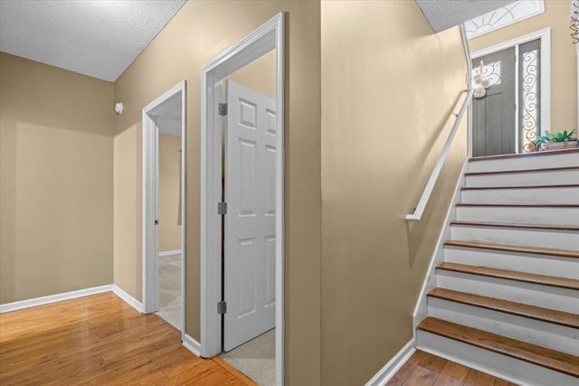 75 Ellie Lane, Chatsworth, GA 30705