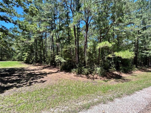 Lot 19 BH Caroll Street, Trinity, TX 75862