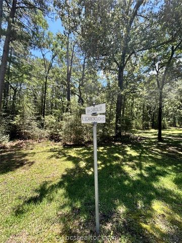 Lot 19 BH Caroll Street, Trinity, TX 75862
