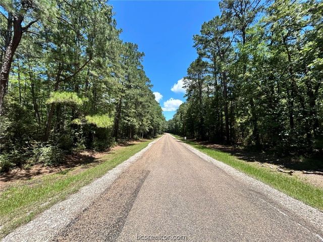 Lot 19 BH Caroll Street, Trinity, TX 75862