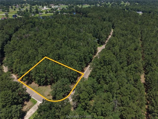 Lot 19 BH Caroll Street, Trinity, TX 75862