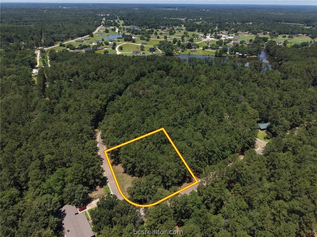 Lot 19 BH Caroll Street, Trinity, TX 75862