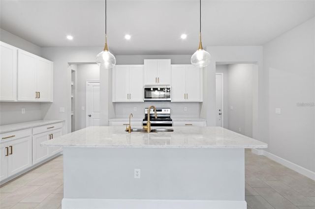 4282 CLOUD HOPPER WAY, Lutz, FL 33559