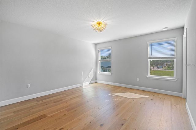 4282 CLOUD HOPPER WAY, Lutz, FL 33559