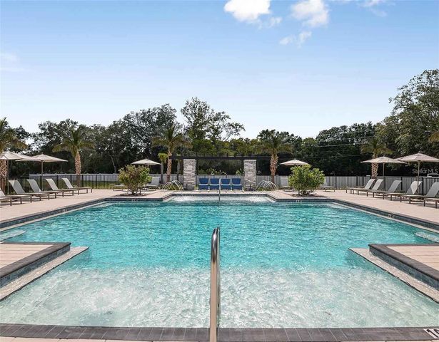 4282 CLOUD HOPPER WAY, Lutz, FL 33559