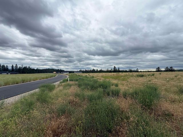 4207 E Molly Jean Ln, Chattaroy, WA 99003