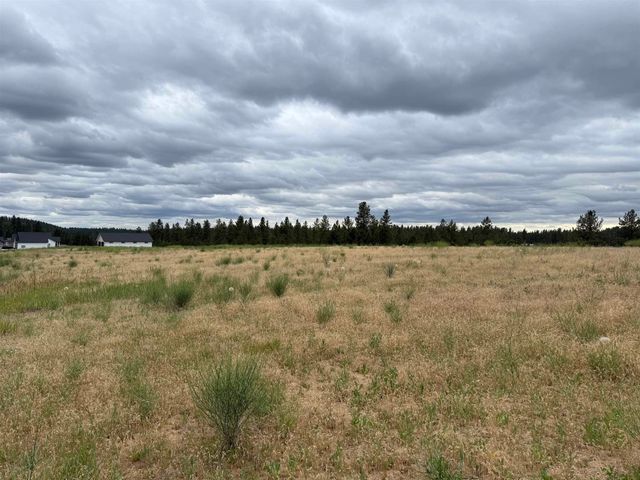 4207 E Molly Jean Ln, Chattaroy, WA 99003