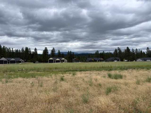 4207 E Molly Jean Ln, Chattaroy, WA 99003