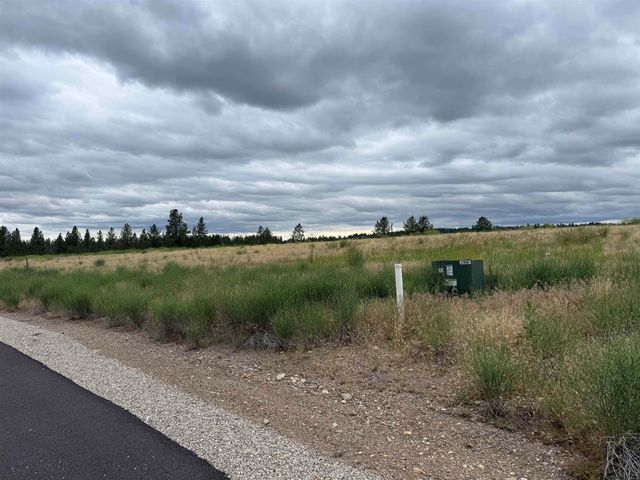 4207 E Molly Jean Ln, Chattaroy, WA 99003