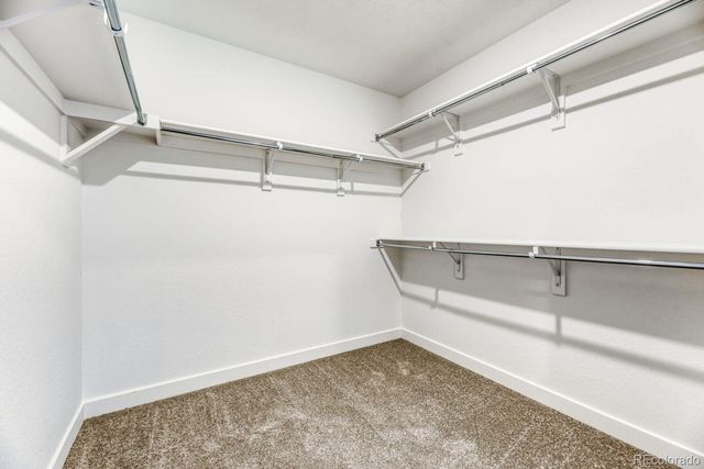 10874 Tundra Top Drive, Parker, CO 80134