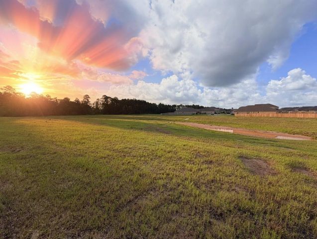 532 Flower Reed Court, Magnolia, TX 77354