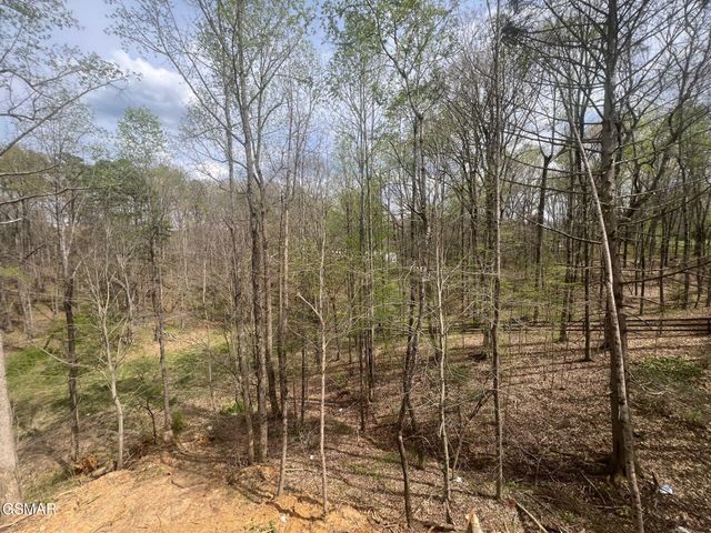 2427 IRON FORGE WAY, Sevierville, TN 37876