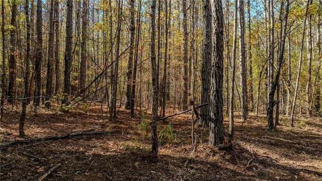 0 Jones Ferry Road Lot 2, Chattahoochee Hills, GA 30268
