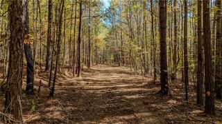 0 Jones Ferry Road Lot 2, Chattahoochee Hills, GA 30268