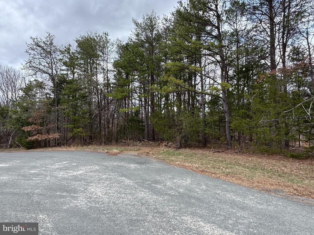 HARNESS LN, Louisa, VA 23093