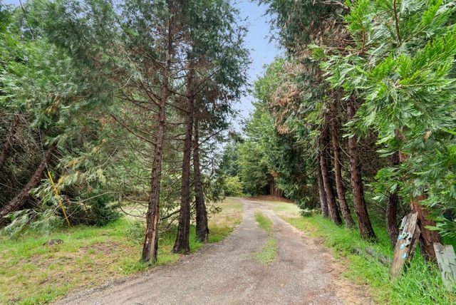 163 Buzzard Lagoon Road, Watsonville, CA 95076