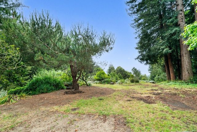 163 Buzzard Lagoon Road, Watsonville, CA 95076