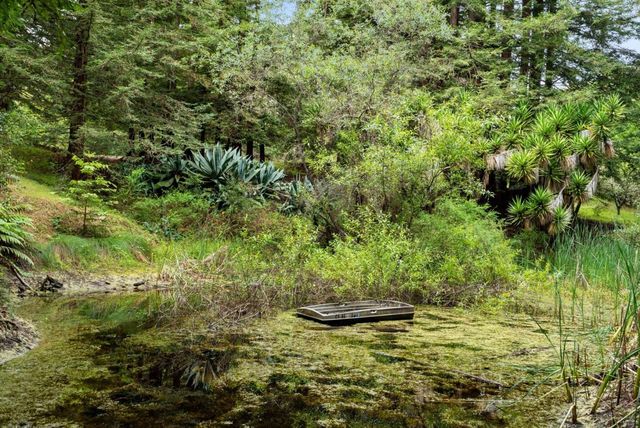 163 Buzzard Lagoon Road, Watsonville, CA 95076