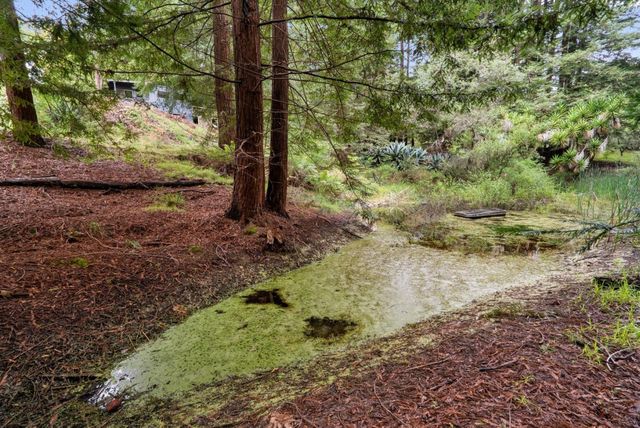 163 Buzzard Lagoon Road, Watsonville, CA 95076