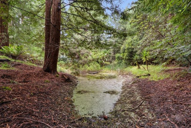163 Buzzard Lagoon Road, Watsonville, CA 95076