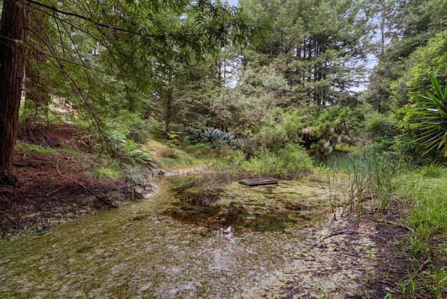 163 Buzzard Lagoon Road, Watsonville, CA 95076
