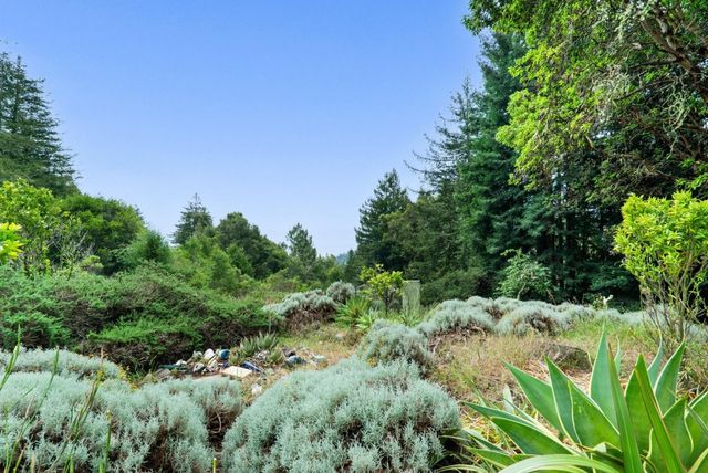 163 Buzzard Lagoon Road, Watsonville, CA 95076