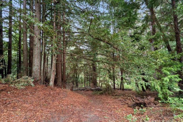 163 Buzzard Lagoon Road, Watsonville, CA 95076
