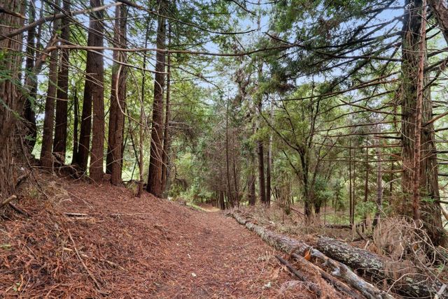 163 Buzzard Lagoon Road, Watsonville, CA 95076