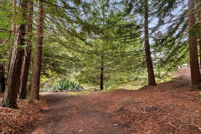 163 Buzzard Lagoon Road, Watsonville, CA 95076