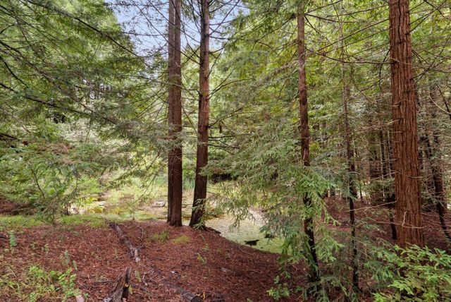 163 Buzzard Lagoon Road, Watsonville, CA 95076