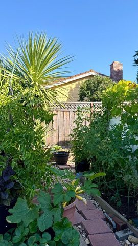 19959 Sea Gull Way, Saratoga, CA 95070
