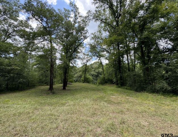 TBD Hwy 155 N, Winona, TX 75792
