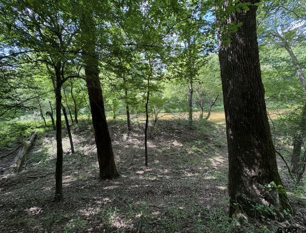 TBD Hwy 155 N, Winona, TX 75792