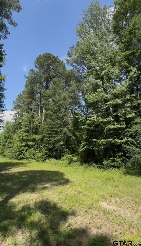 TBD Hwy 155 N, Winona, TX 75792